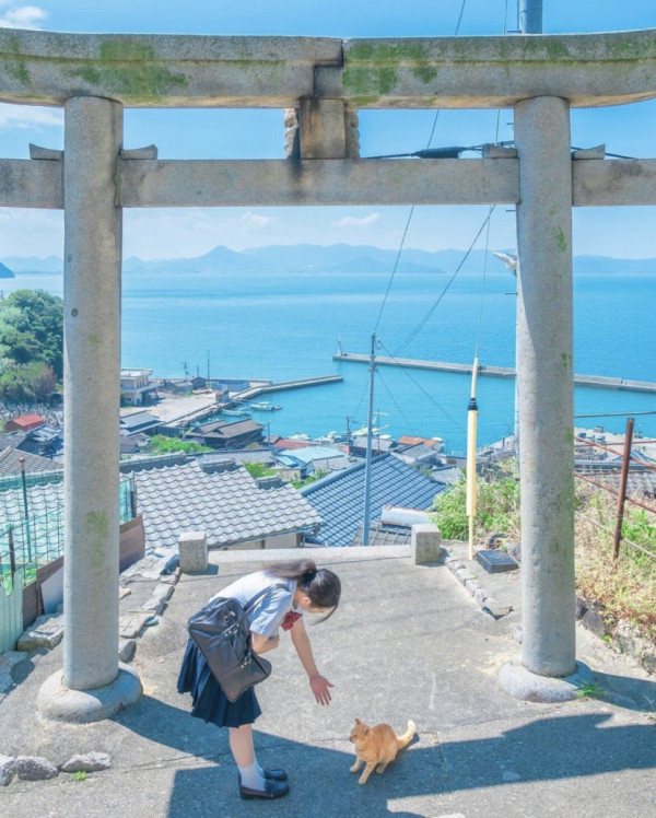 애니 속 장면 실사 찍은 여고생.