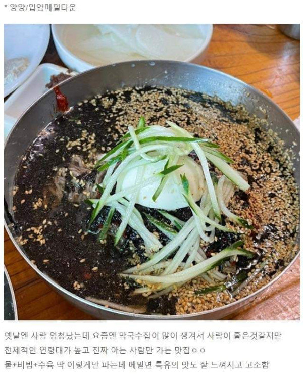 내돈내산 강원도 맛집 모음